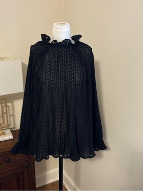Gorgeous H&M Black Sheer Textured Ruffle Blouse